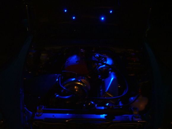 wanker lights 022.jpg