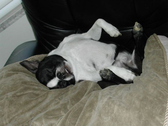 icky_sleep2.jpg