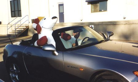 Angel and Bear on S2K.jpg