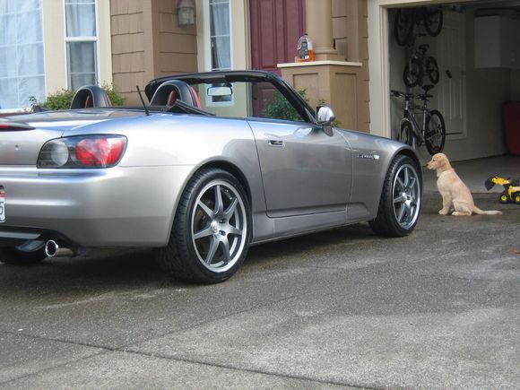 SSR GT-7's on Silverstone