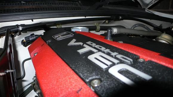 P1000150 (Custom).JPG