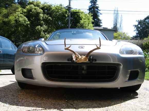 Custom Bodywork - Aggressive Looks