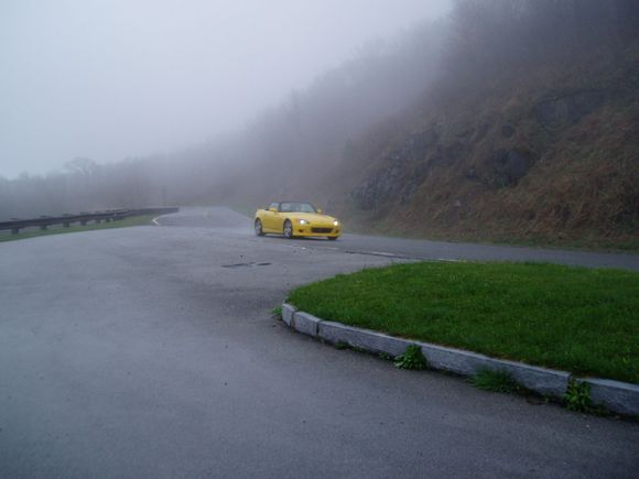spa yellow at the top
