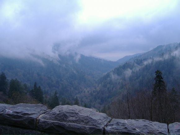 DSCF0715.JPG