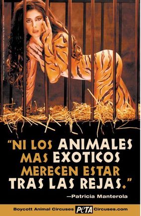peta1.jpg