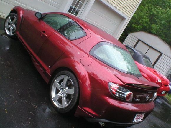 Last Roll - 8.jpg
