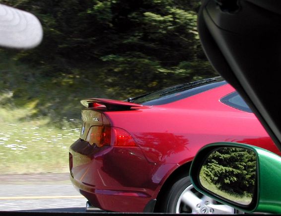 MUCTER IN VTEC.jpg
