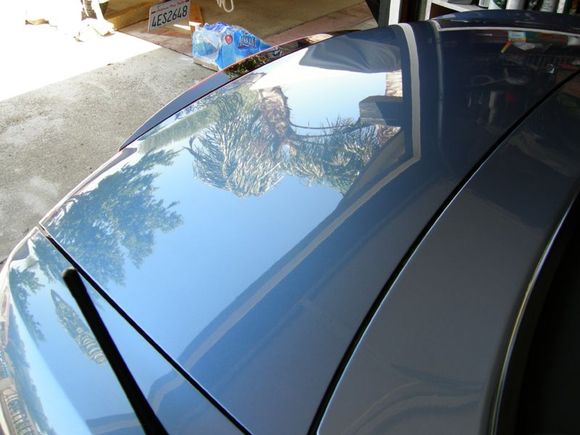 trunk.jpg