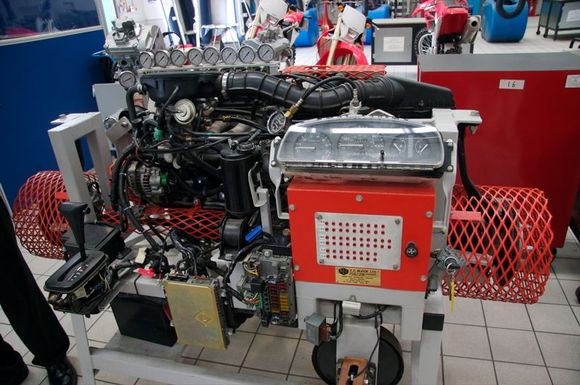 CRW_0138.jpg