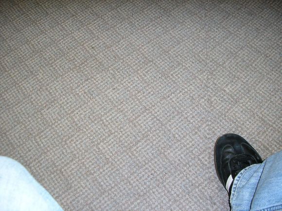 PB020008.JPG