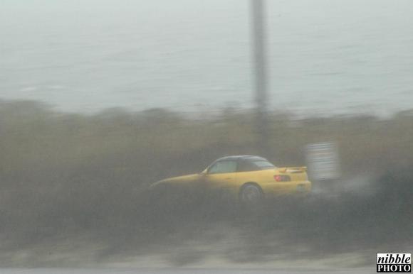 DSC_3437.JPG