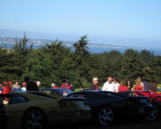 ocean back drop in sea of Ferraris.JPG