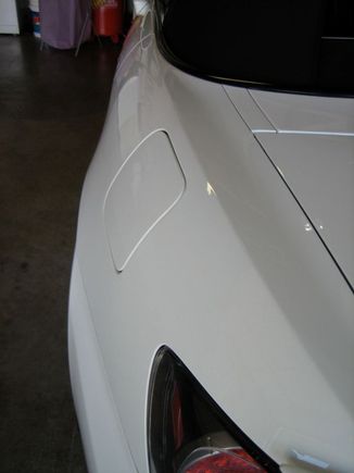IMG_6950.JPG
