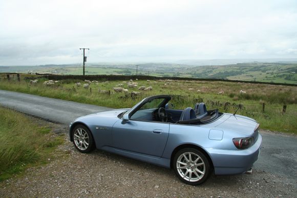 More Shimi on the Moors