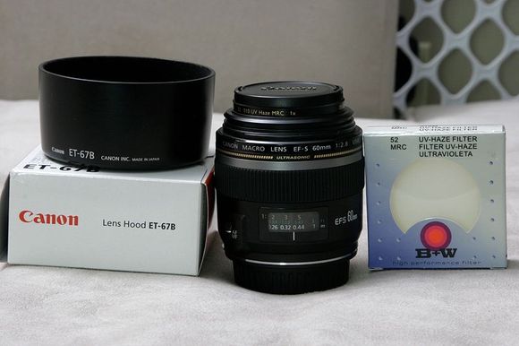 _MG_3084.JPG