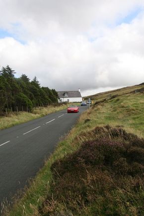 IMG_0036_1.jpg