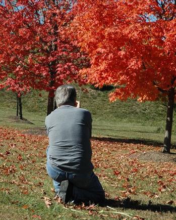 DSC_6034 071021 Jerry trees.JPG