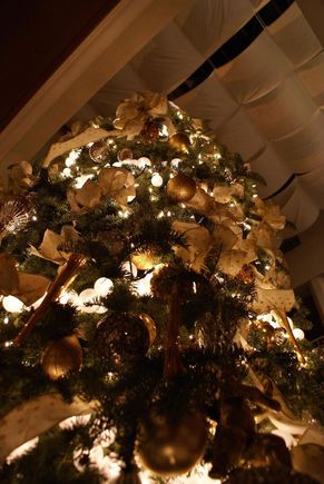 Christmas Tree.JPG