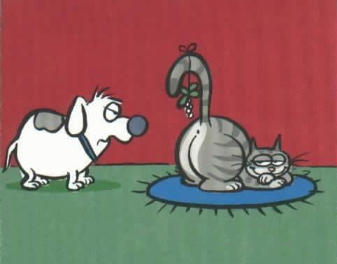 XMAS cat.JPG