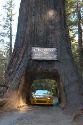 DSC_0560.jpg