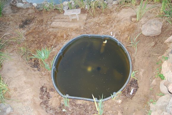 Pond Makeover 2008-03-04_10.JPG