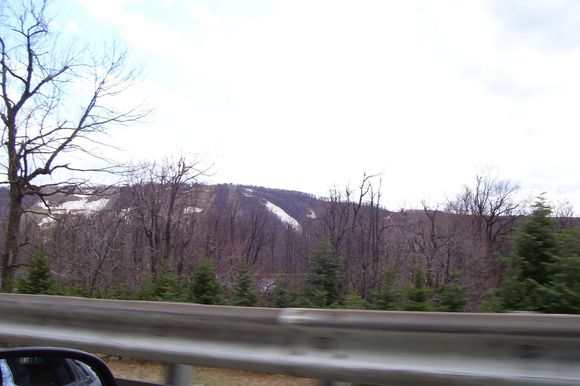 100_1262.jpg