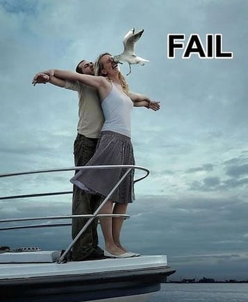 seagull_fail.jpg
