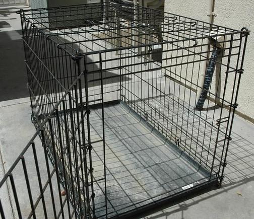 DSC_9161 080514 dog cage.JPG