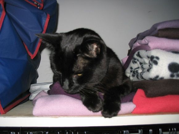 Magic aged 14
