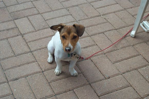 Maggie 016.jpg