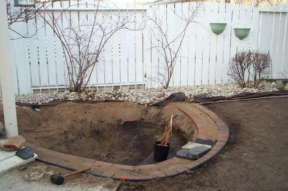 Yard 2008 012.jpg