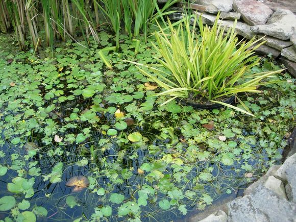 DSCN6682.JPG