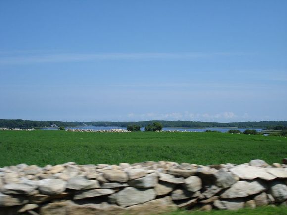 DSC02003a.jpg