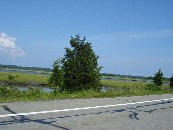 DSC01991a.jpg