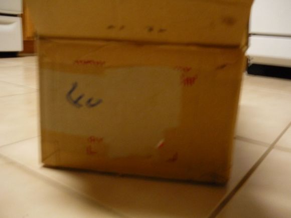 P1000113.JPG