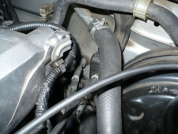 Engine bay pics for Robert 004.jpg