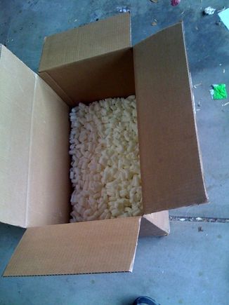 photo10.jpg