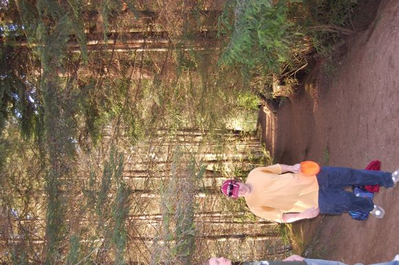 Yet another TIGHT fairway....  TONS of THICK trees!