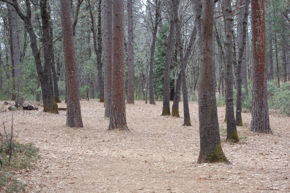 Close up of hole 5, if you do not have a big right handed hy