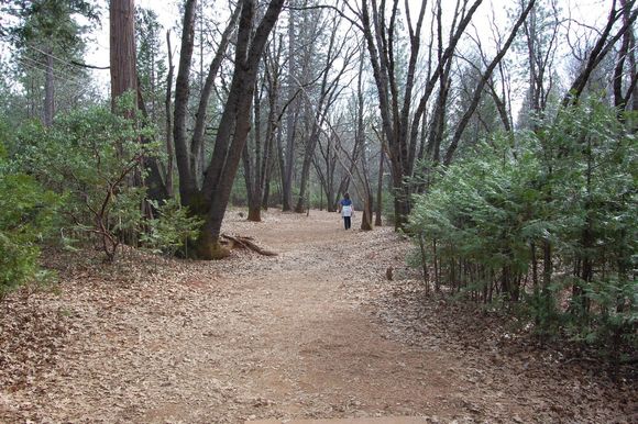 Hole 15.  See first big tree on left?  Straight right 100ft.