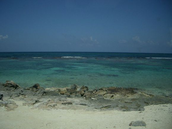 IMGP0078.JPG