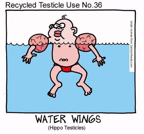 testicles36.jpg