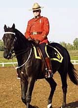 mountie.bmp