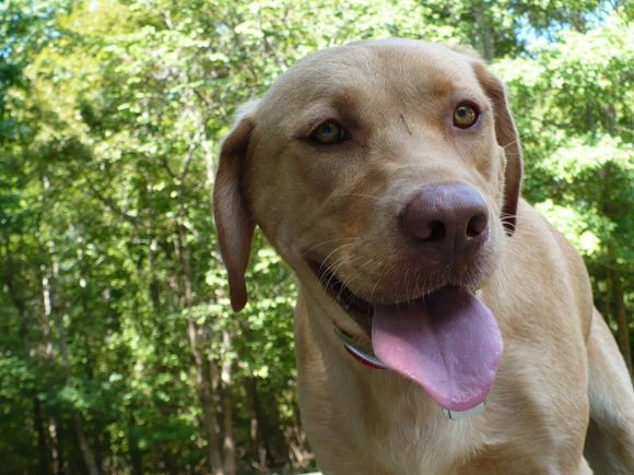 Texas Vacation 2009 022.jpg