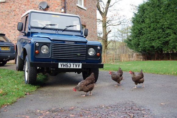 Landy2.jpg