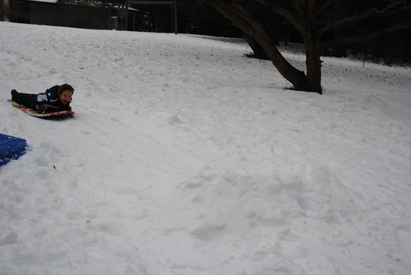 xmas 09 059.JPG