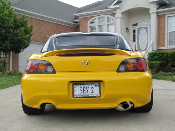 ASS SHOT