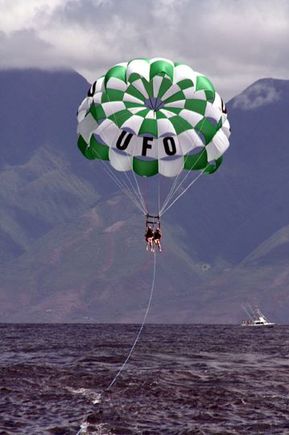 008.JPG