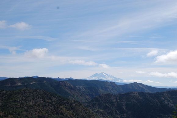 DSC_0169.jpg