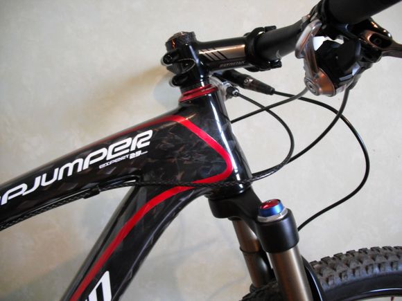 Stumpjumper Carbon 009.jpg